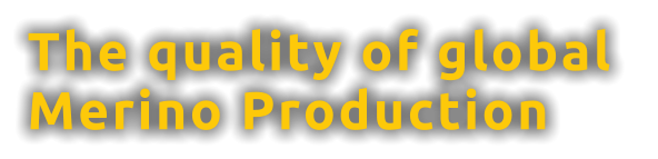 The quality of global  Merino Production