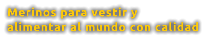 Merinos para vestir y  alimentar al mundo con calidad