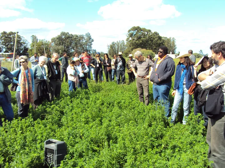 Visitas técnicas en el campo
