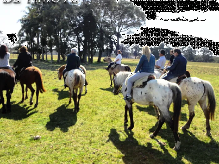 Cabalgatas en el campo