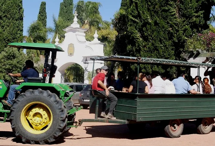 Experiencias en San Pedro de Timote