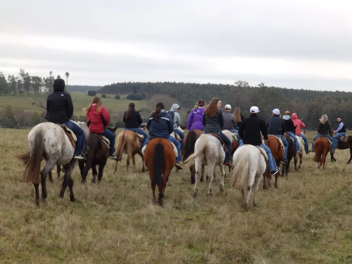 Recorridos a caballo