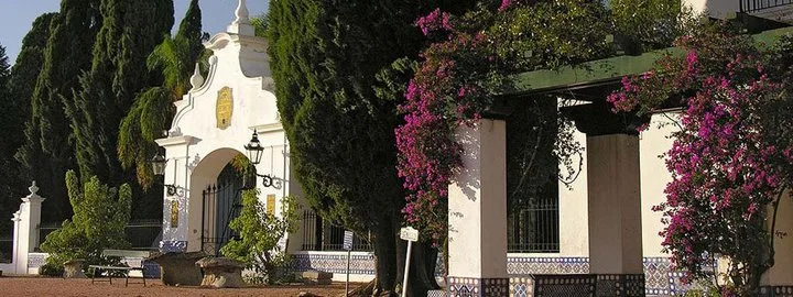 San Pedro de Timote
